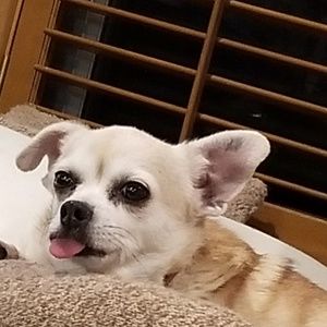 Meet your Posher, Kristi